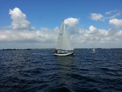 Scheldeschouw