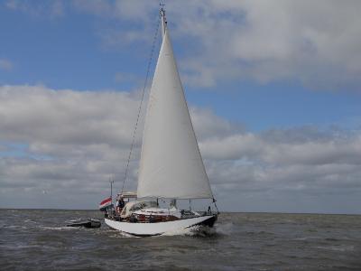 Scheldeschouw