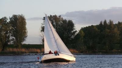 Elan 31