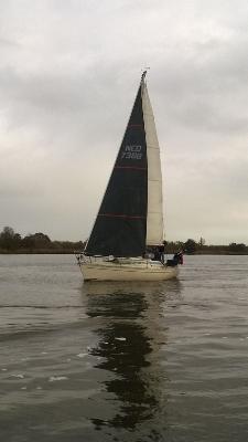 Elan 31