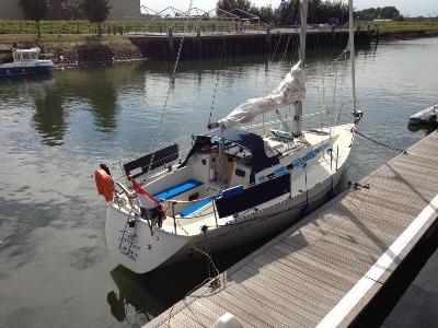 Elan 31