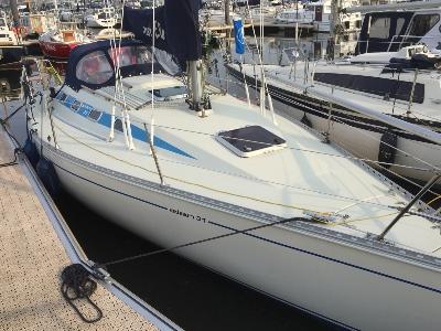 Elan 31