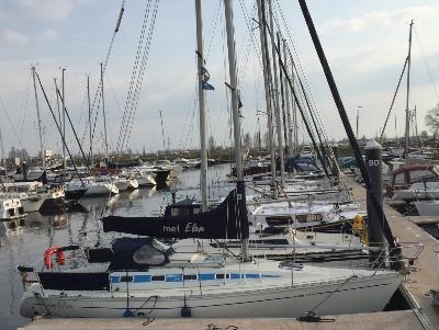 Elan 31