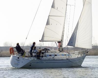 Elan 31