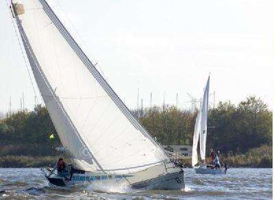 Elan 31