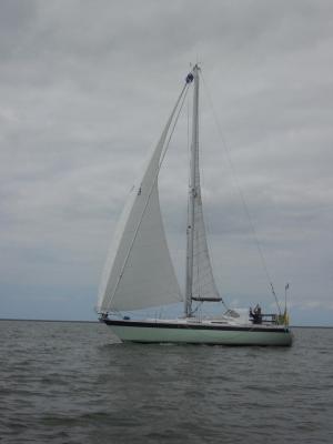 Wauquiez Gladiateur 33