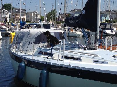 Wauquiez Gladiateur 33