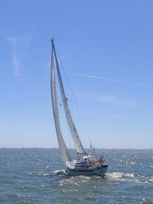 Wauquiez Gladiateur 33