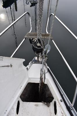 Bavaria 36.3 Cruiser