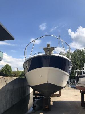 Bayliner Ciera Sunbridge 305