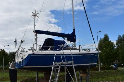 Sasanka Viva 700