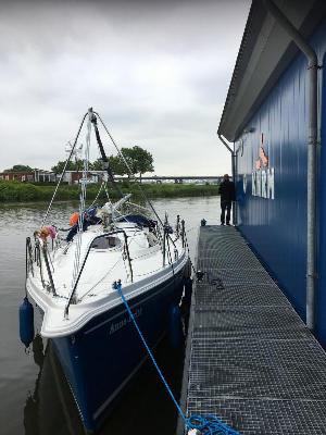 Sasanka Viva 700