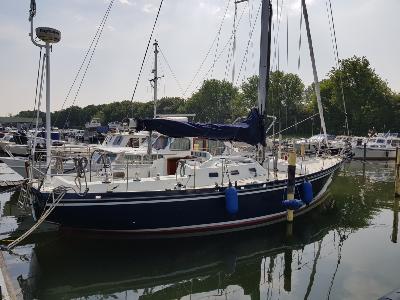 Koopmans 43