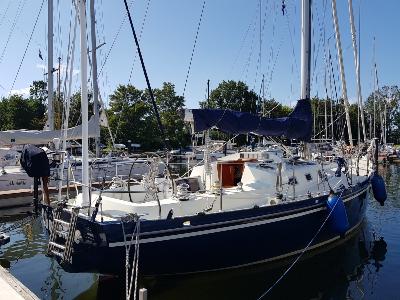 Koopmans 43