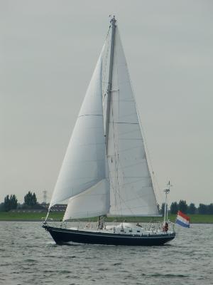 Koopmans 43