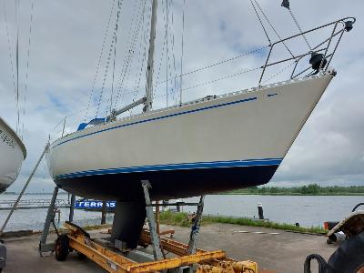 Spirit 36