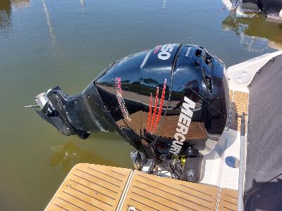 Quicksilver Activ 755 Cruiser