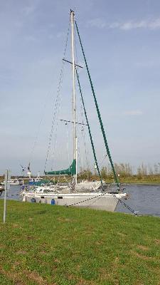 Ovni 435