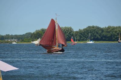 Vollenhovense Bol