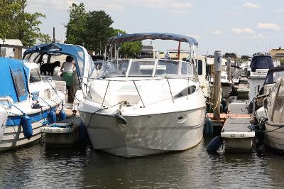 Bayliner 275