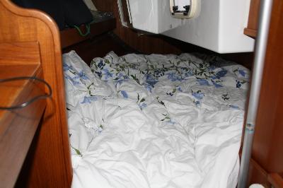 Quality Yachts Q29