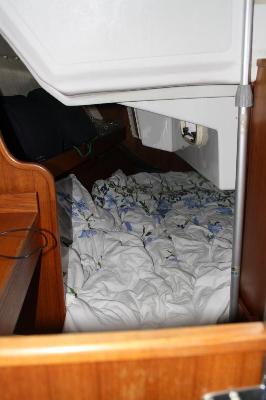Quality Yachts Q29