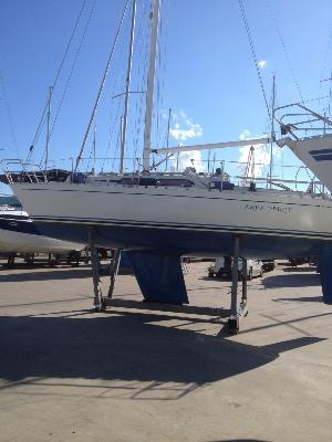 Quality Yachts Q29