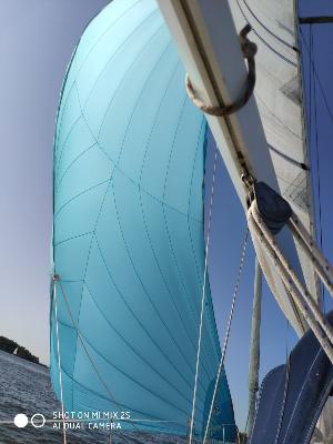 Quality Yachts Q29