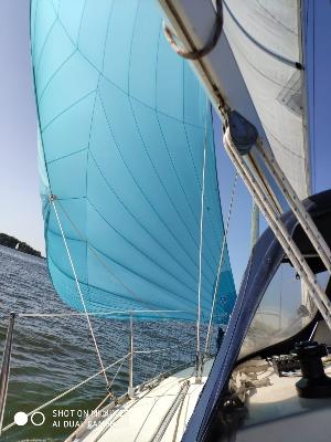 Quality Yachts Q29