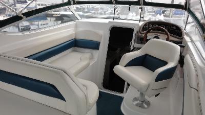 Wellcraft 260SE Sportcruiser