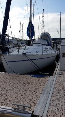 Gib Sea 302