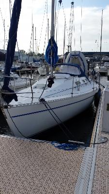 Gib Sea 302